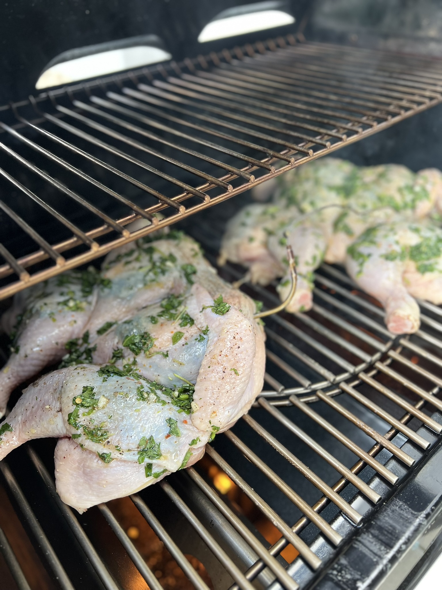 Kuře grilované na motýlka - na grilu na začátku Kuře grilované na motýlka - na grilu na začátku