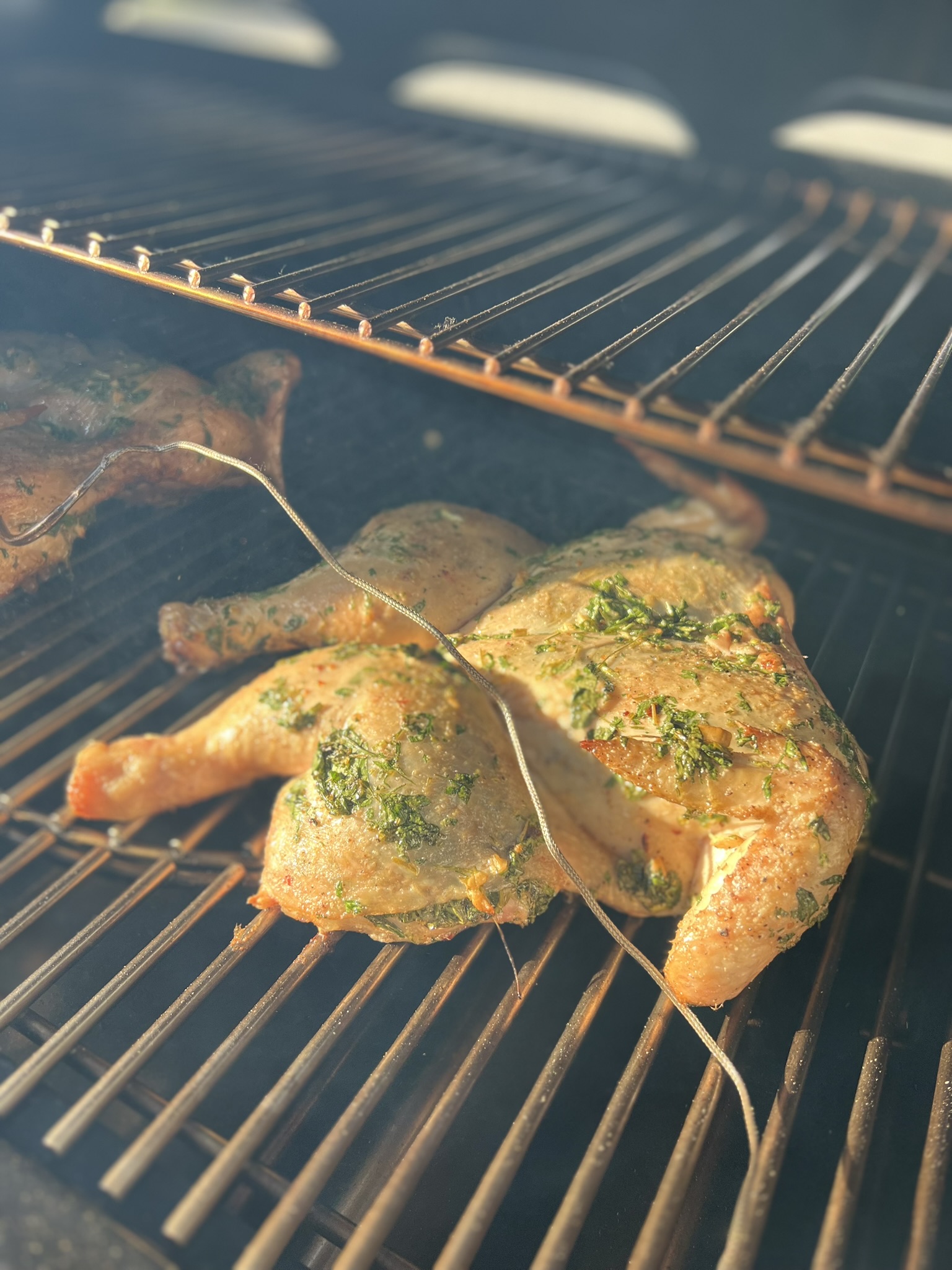 Kuře grilované na motýlka - na grilu skoro hotové Kuře grilované na motýlka - na grilu skoro hotové