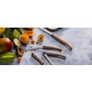 Outdoorový nůž Opinel N°10 Slim Line Buk